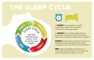 Infographic work on the science of sleep